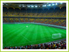Stadion Arena Nationala
