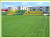 fc dacia mioveni