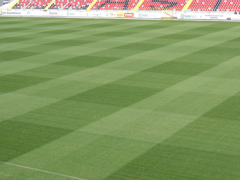 gazon natural FC ASTRA Giurgiu