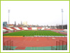 FC Dinamo Bucuresti