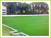 FC Farul Constanta
