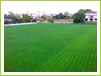 FC Farul Constanta