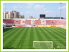 FC Rapid Bucuresti