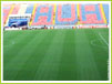 Steaua Bucuresti