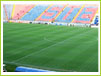 Steaua Bucuresti